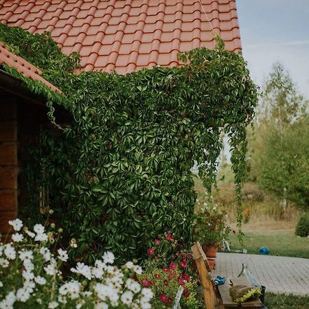 Dom Goscinny Sowia Stopka Miłomłyn Exteriör bild