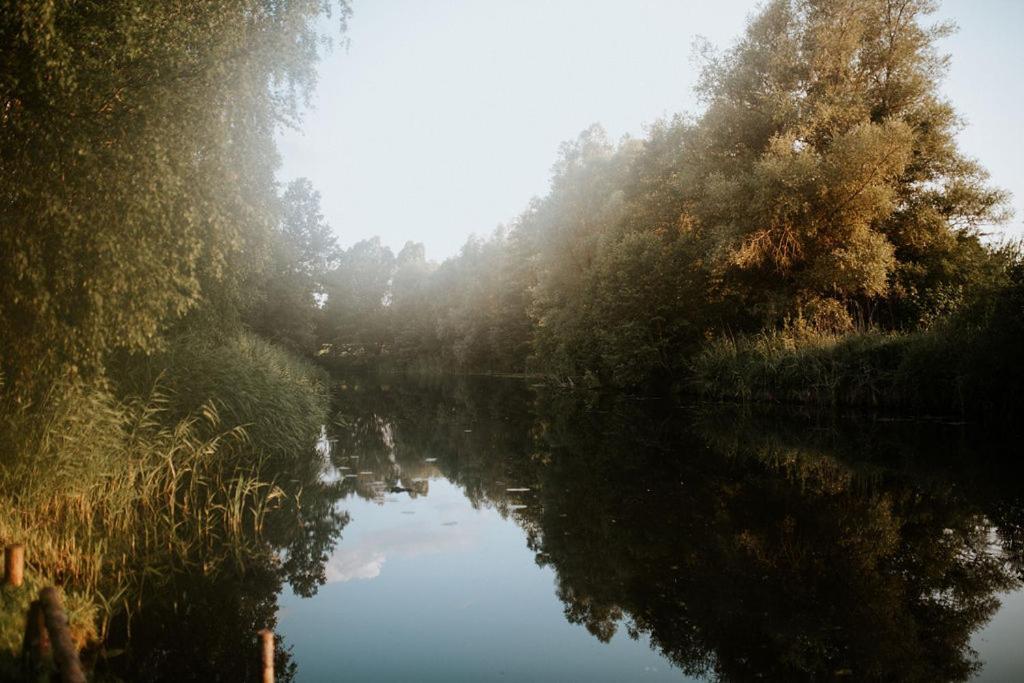 Dom Goscinny Sowia Stopka Miłomłyn Exteriör bild