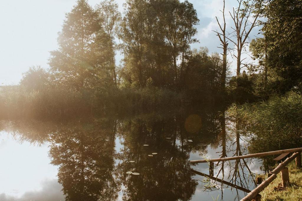 Dom Goscinny Sowia Stopka Miłomłyn Exteriör bild